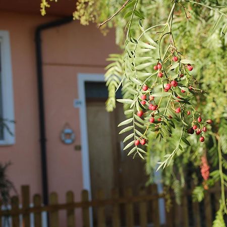 Bed and Breakfast Pepe Rosa Термоли Экстерьер фото