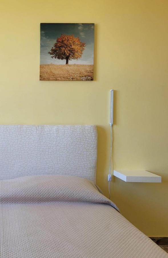 Bed and Breakfast Pepe Rosa Термоли Экстерьер фото