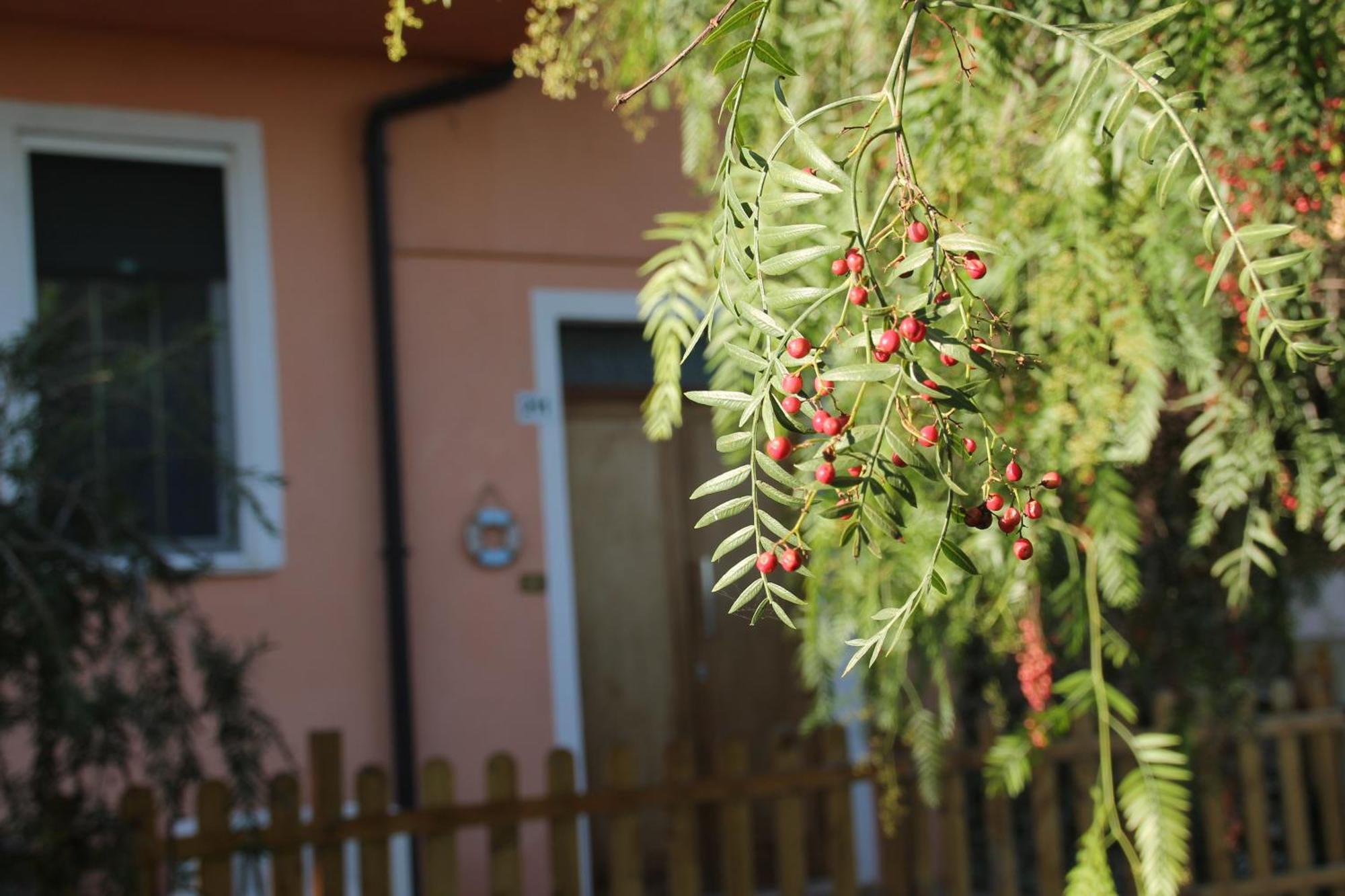 Bed and Breakfast Pepe Rosa Термоли Экстерьер фото