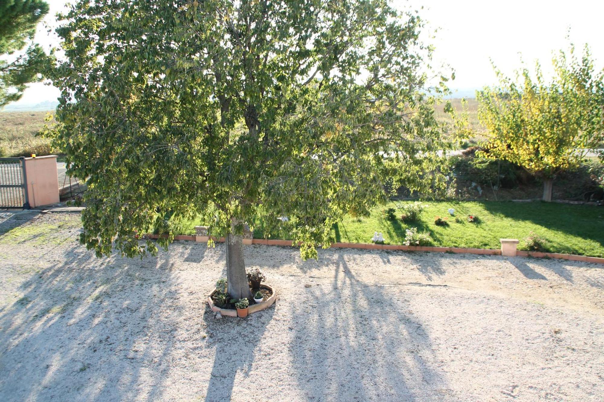 Bed and Breakfast Pepe Rosa Термоли Экстерьер фото