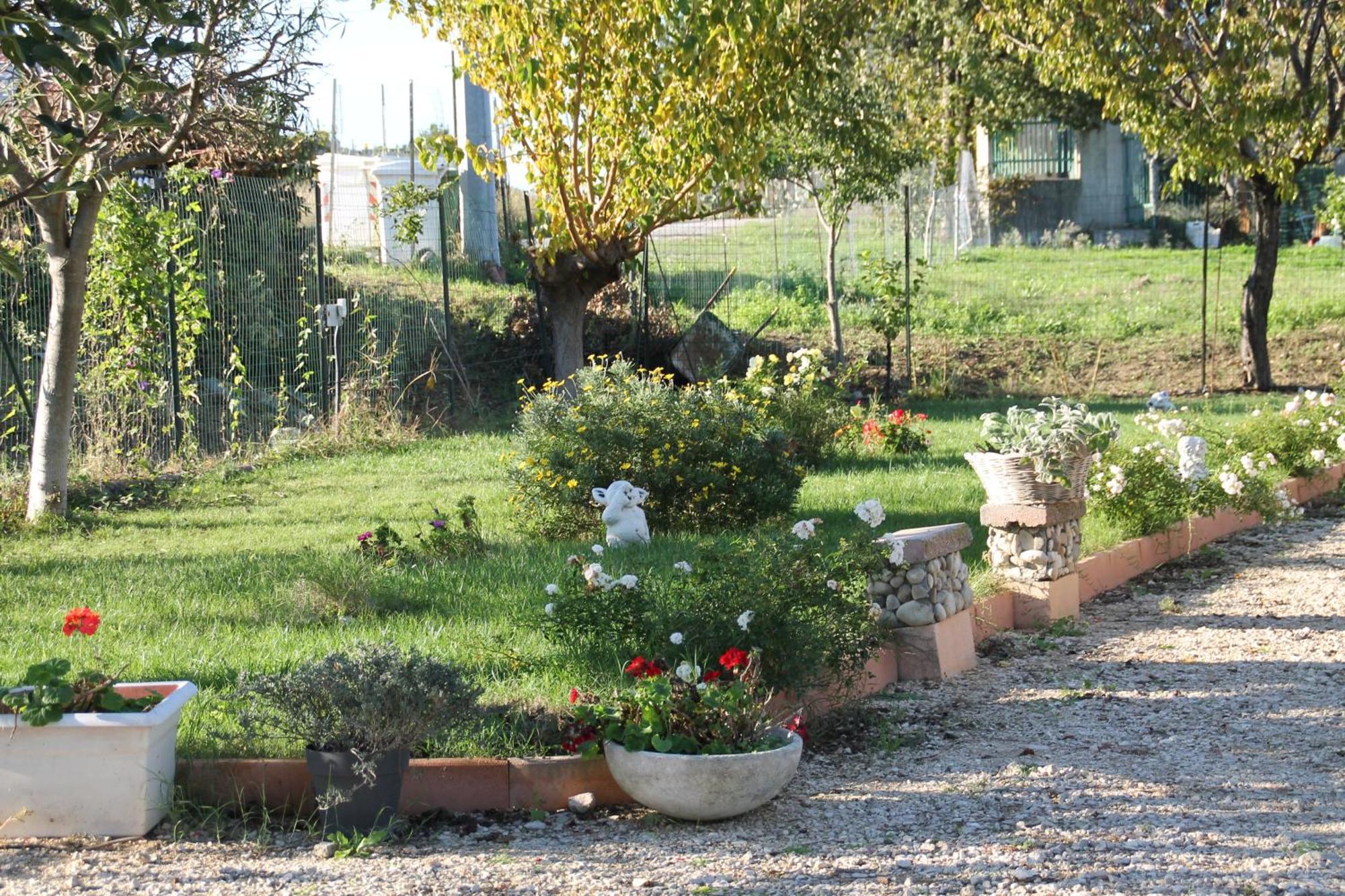 Bed and Breakfast Pepe Rosa Термоли Экстерьер фото